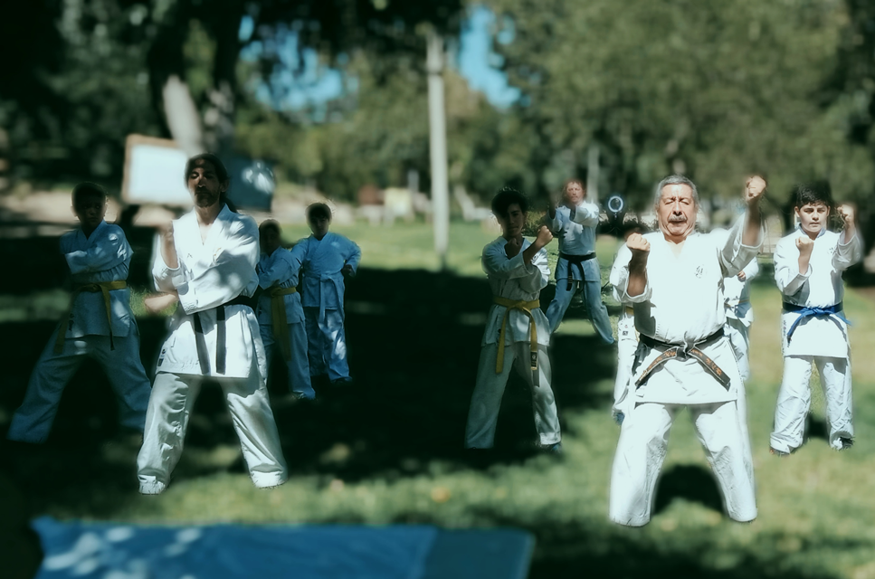 Porqué Entrenar Karate Do